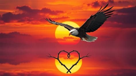 eagle spiritual meaning twin flame